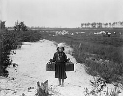 ChildLabor1910