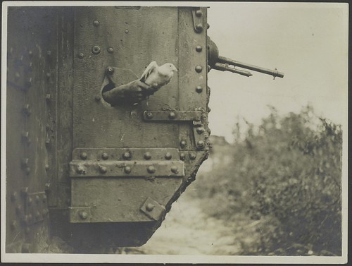 THE BRITISH WESTERN  FRONT IN FRANCE