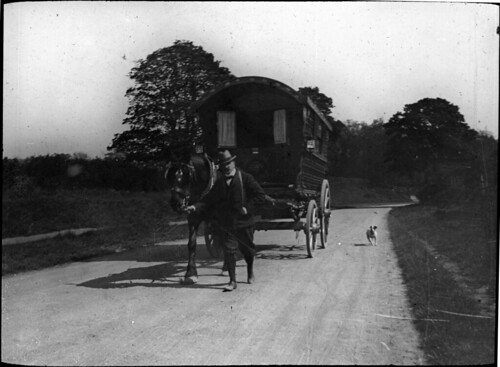Dog following a caravan